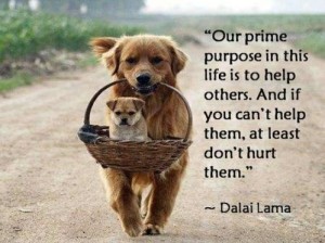 Our Purpose in Life is to Help Others